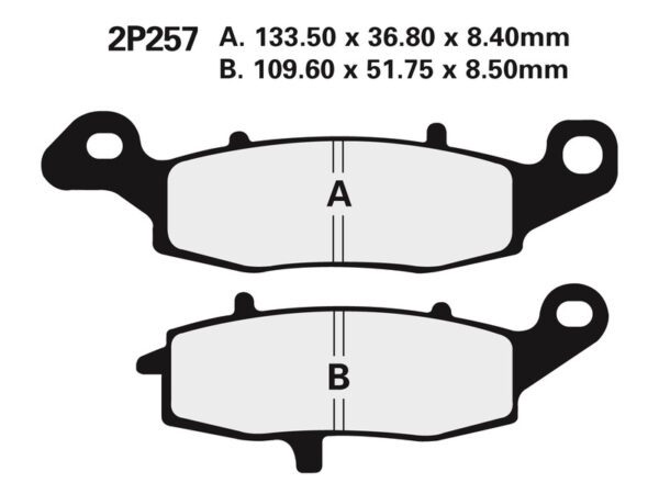NISSIN Street Semi-Metallic Brake pads - 2P-257NS (2P-257NS)