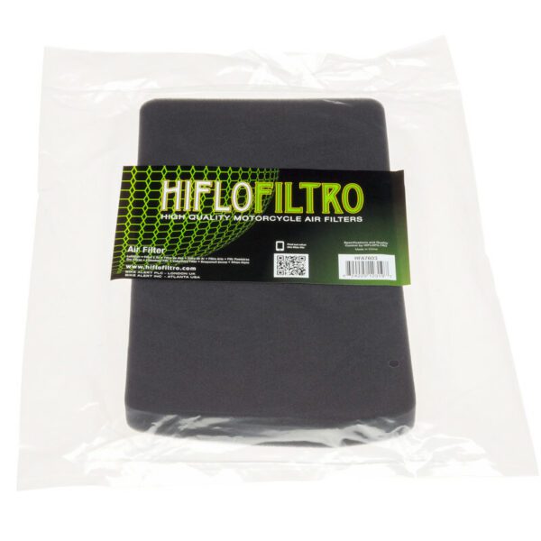 HIFLOFILTRO Air Filter - HFA7603 BMW F650ST/Funduro (HFA7603)