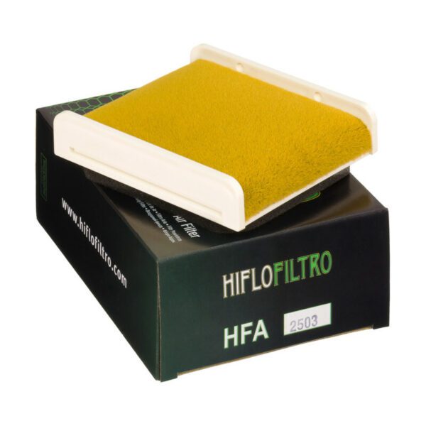 HIFLOFILTRO Air Filter - HFA2503 Kawasaki GPZ500(S) (HFA2503)